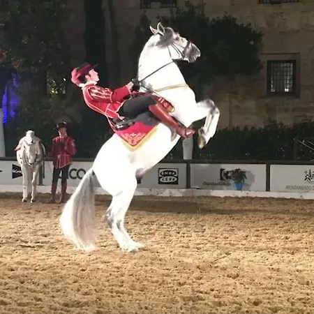 El Rincon De La Verdad Córdoba
