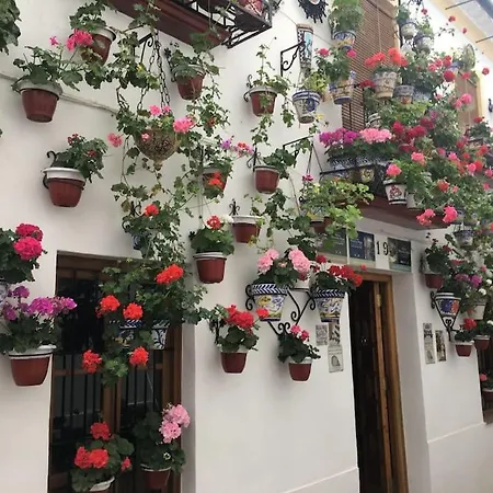 El Rincon De La Verdad Cordoba